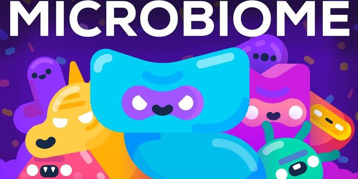 How The Microbes in Our Gut Affect The Way We Act and Think