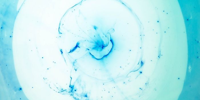 Can Oxidants Slow Down Cellular Aging?