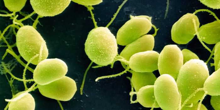 Restoring Sight to the Blind