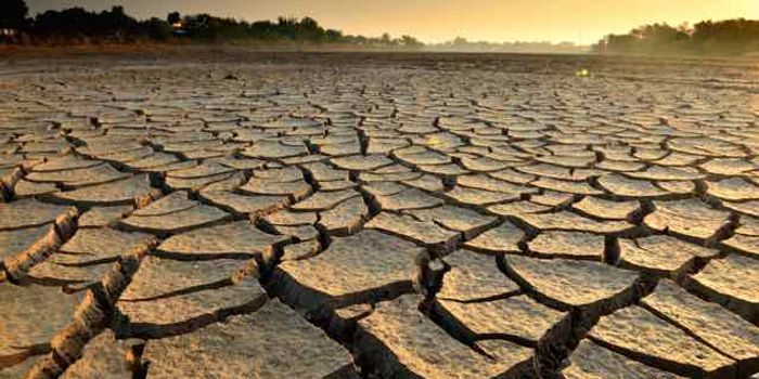 Worldwide droughts are raising CO2 emissions