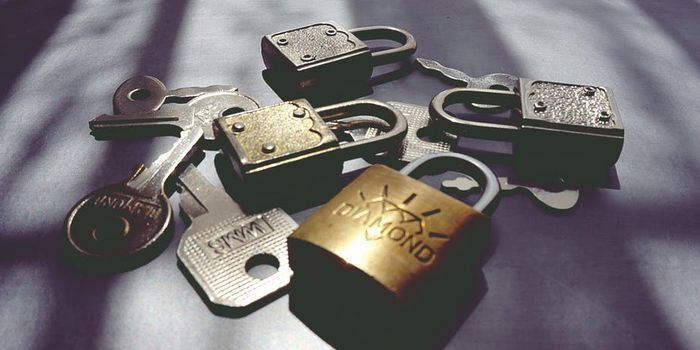 Better Security Through Biological Encryption