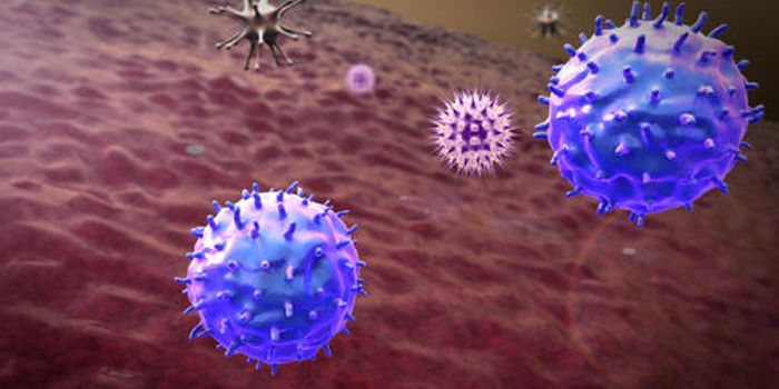 Mouse Study Finds Extra Oxygen May Spur Tumor-Fighting Cells