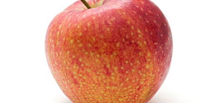 Current Nutritional Recommendations Across Lifespan