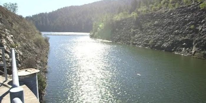 Too Much Water Too Late?