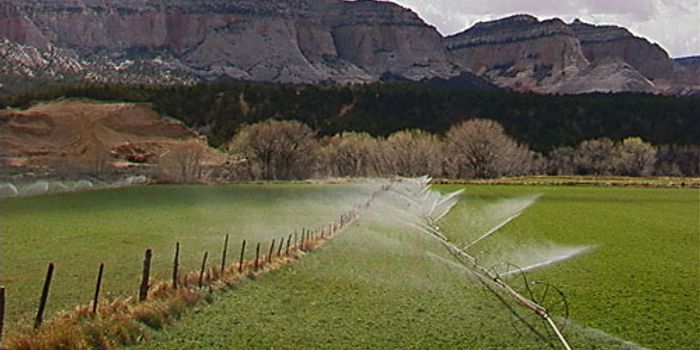 MIT and Ben-Gurion University of the Negev  Approve Five Joint Projects for Funding