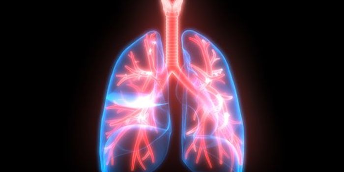 Testosterone Replacement Therapy Slows Progression of Chronic Obstructive Pulmonary Disease