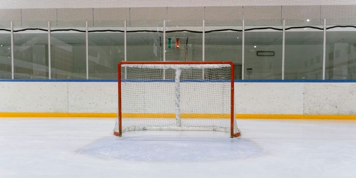 Ice Hockey Concussion Linked to 3.5x Higher Risk of Burnout