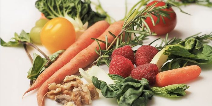 It May be Possible to Delay Memory Problems With the Right Diet