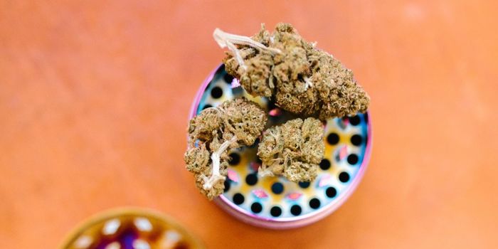 Medical Marijuana May Be Overhyped for Pain, Anxiety, Depression