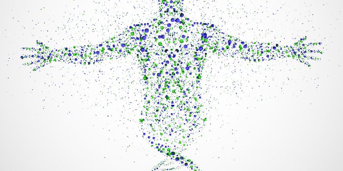 Beneficial Microbes Linked to Antibody Production