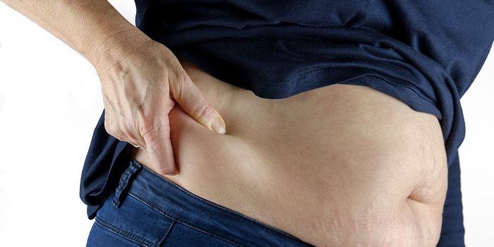 Understanding the link between obesity and breast cancer