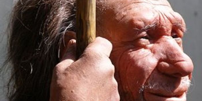 Neanderthal Genes Live On