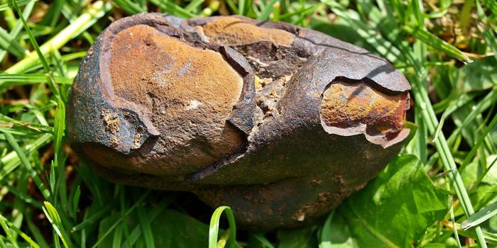 Space Rock May Contain Building Blocks for DNA