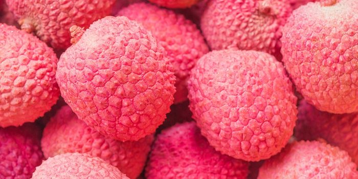 Diagnosed: Lychee Toxin Killed Hundreds of Indian Children
