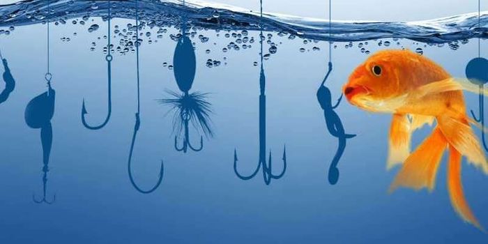 'Fish Hooks' Speed Up Drug Discovery