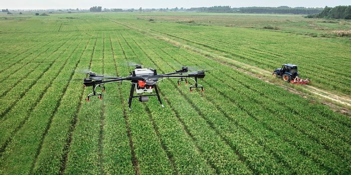 Using UAVs to Study the Environment