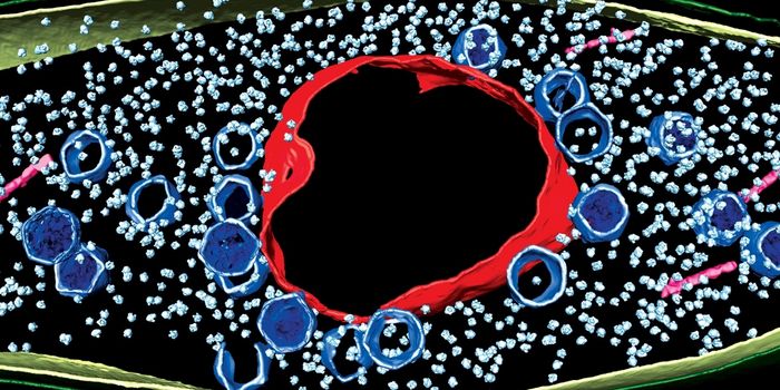 Researchers Observe Viruses Hijacking Bacterial Cells