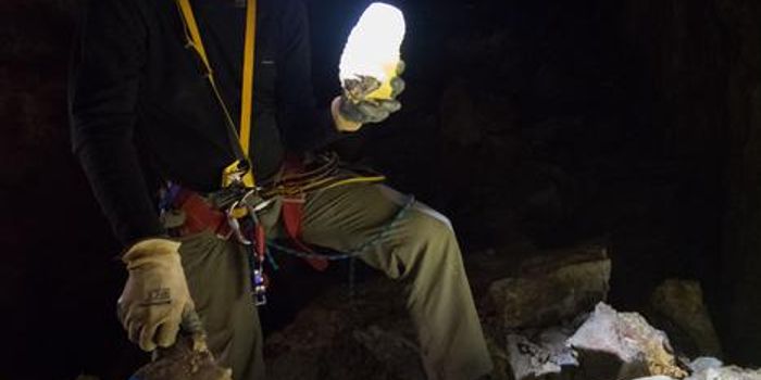 Unveiling the Subterranean Wonders: Grand Canyon's Hidden Caves Hold Clues to Climate Change