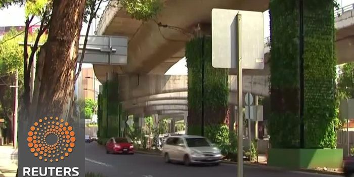 Mexico City's vertical greenways