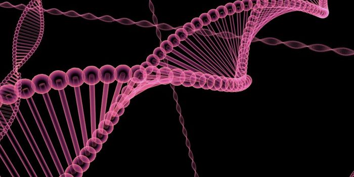 Sperm's Molecular 'Memory' Is Revealed