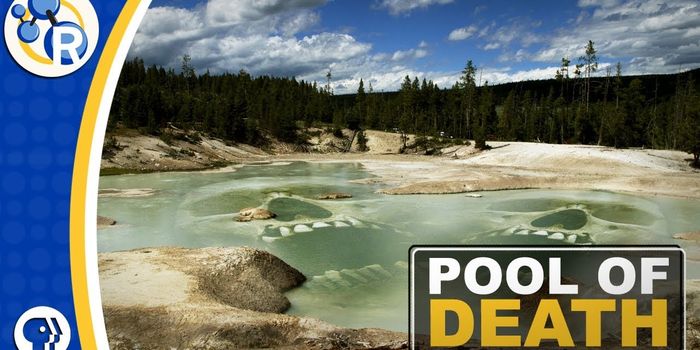 The Chemistry in Yellowstone's Deadly Hot Springs