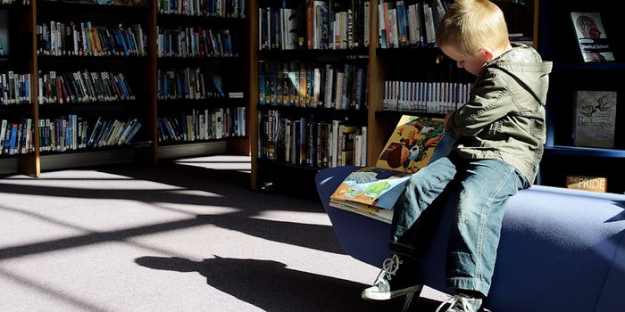 Autism is Linked to Abnormal Lipid Levels