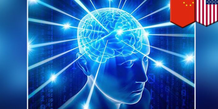 Did the Human CRISPR Experiment Affect the Subjects' Brains?