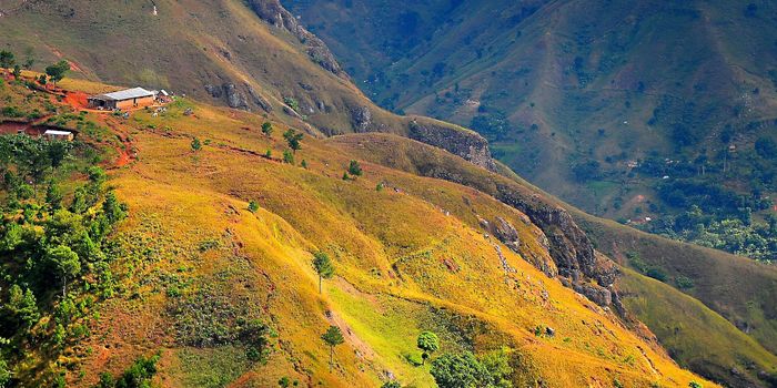 Haiti has lost over 99% of its forests