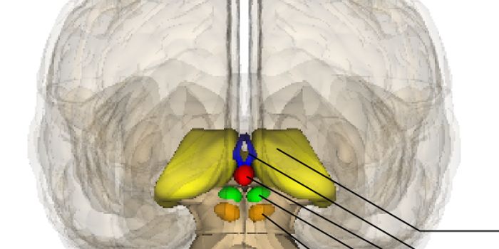 Small Brain Region Found to Function Abnormally in Depression