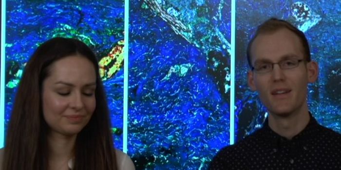 Gorgeous Microscopy Wins a Koch Institute Image Award