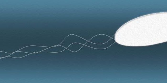 Targeting Bacterial Flagella in the Fight Against Infections