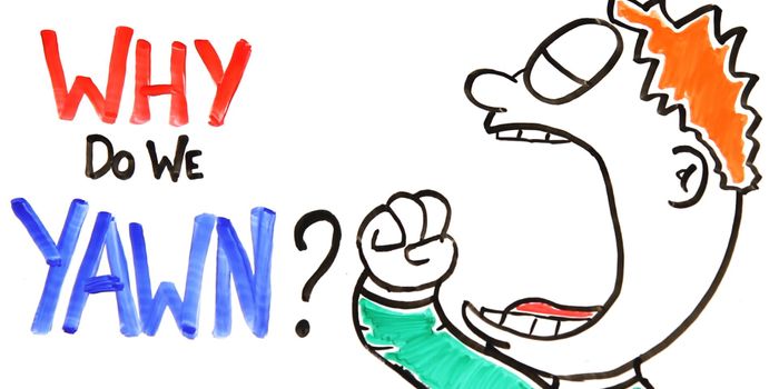 Why do we yawn?