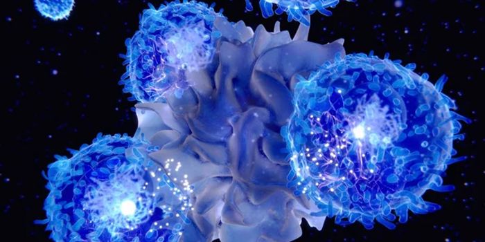 T Helper Cells Improve Antigen Presentation for Cytotoxic T Cell Immunity