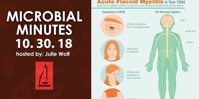 A Season of Outbreaks