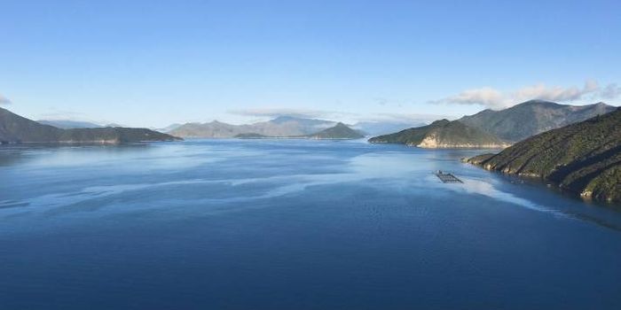 New Zealand will ban offshore oil and gas exploration