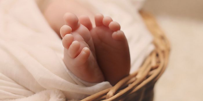 In Infants, the Gut Virome is Linked to a Deadly Disease