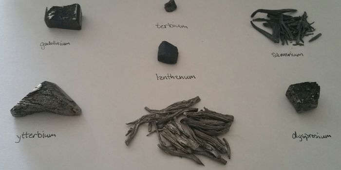 Just how toxic are we talking? Understanding lanthanides with the help of yeast