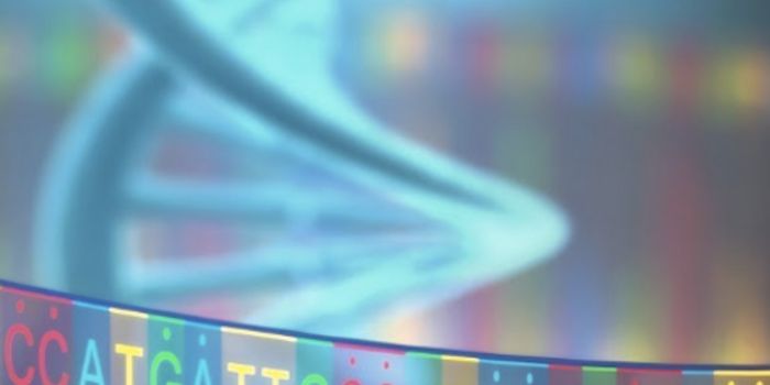 Nature's Giant Genomes