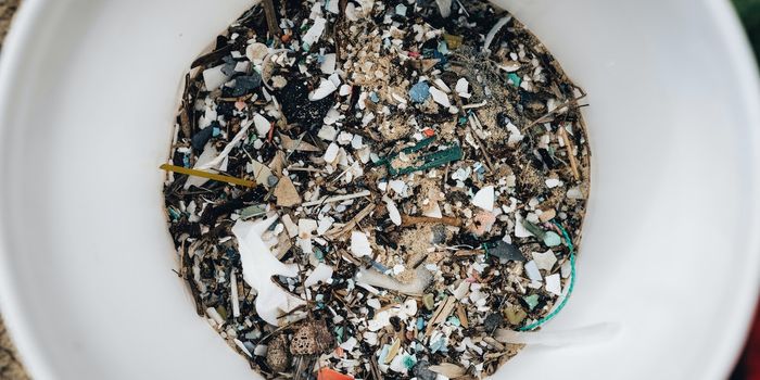 Robotic Fish for Cleaning up Microplastics