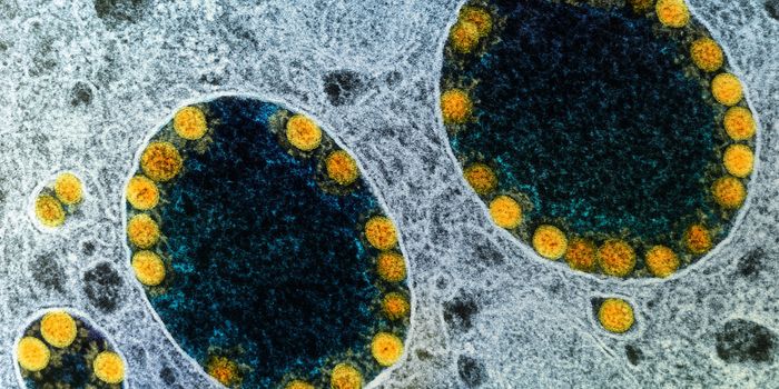 A Nasal Vaccine Can Protect Against COVID-19