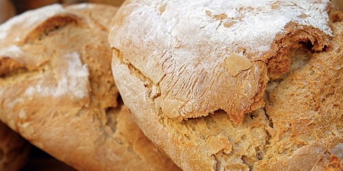 Wheat Proteins (But not Gluten) Exacerbate Inflammation in MS