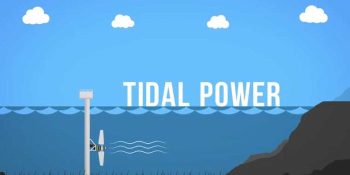 The low down (and rise up) on tidal power