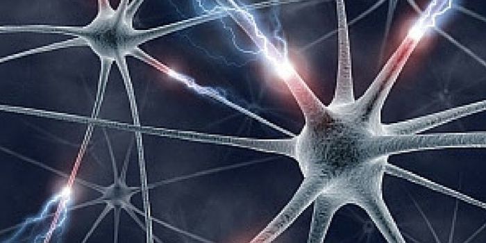 New Technique to See Proteins in the Brain