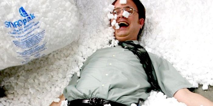 San Francisco's Ban on Styrofoam