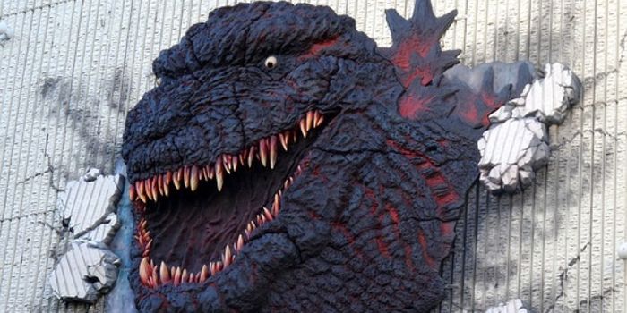 Here's Why Godzilla Could Never Exist, According to Science