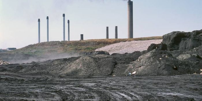 Fish ear bones track coal ash contamination