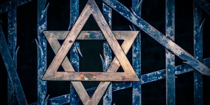 Unraveling the Mysteries of Nazi Brain Research