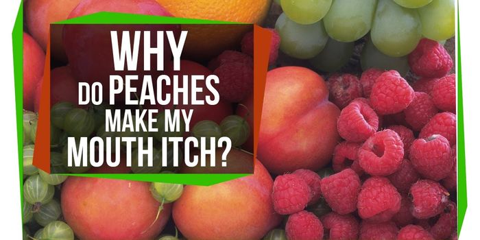 Fuzzy Peaches, Itchy Mouths?