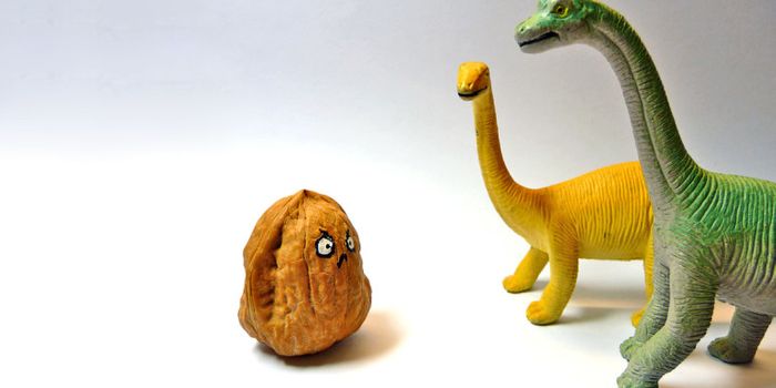 Food allergies are up but antibodies aren't