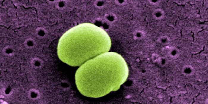 Microbes in the Human Body Can Swap Genes, Even Across Tissues